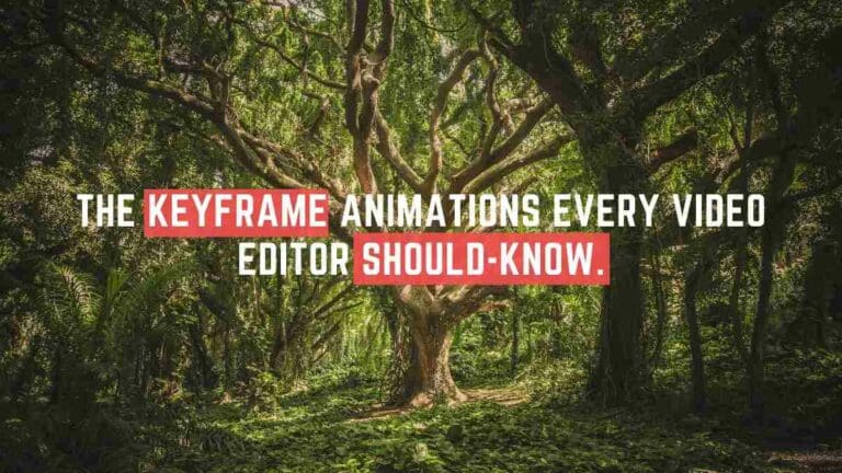 The keyframe animations every video editor SHOULD-KNOW