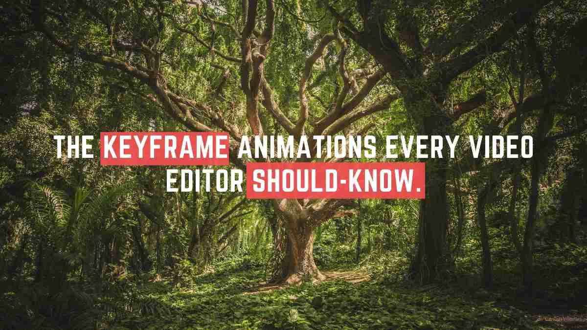 keyframe animations | Blue and Red Motivational Quotes Blog Banner 1 1