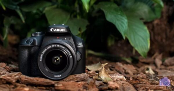 Canon EOS 4000D Review | Canon EOS 4000D Review 01