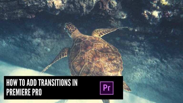 How to add transitions in Premiere Pro (2 Simple Steps)