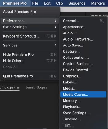 Speed up your render: Clear your media cache