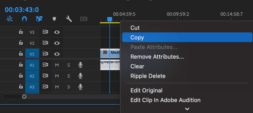 duplicate your clip in Adobe Premiere Pro