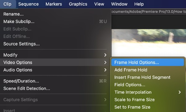 Frame Hold Options - Freeze Frame Premiere Pro