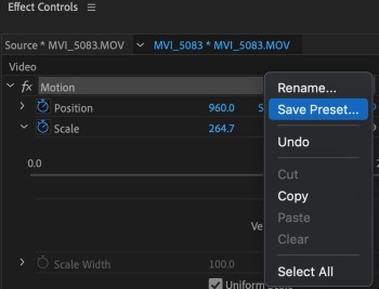 how to zoom in on premiere pro | Save Preset