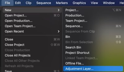 How to Add Adjustment Layer in Premiere Pro - adding an adjustment layer