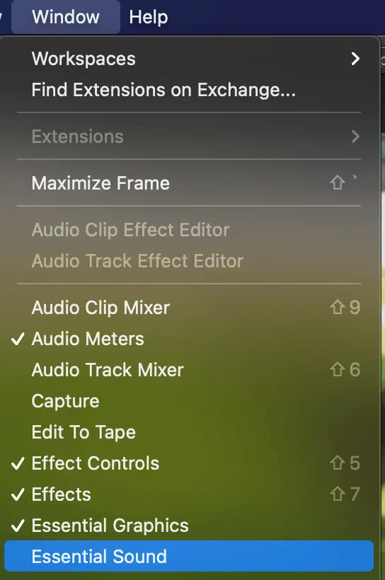 Select essential sound - remove background noise in Premiere Pro