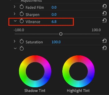 Now to access Vibrance, simply go to ​​Lumetri Color > Creative > Adjustments > Vibrance.
