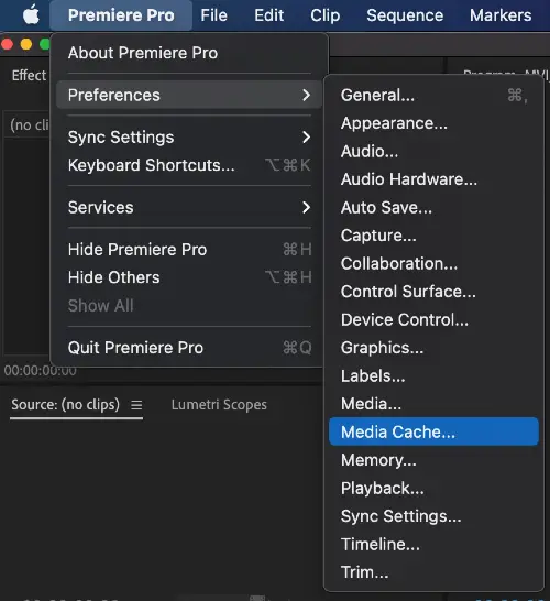 Open up the pop-up box by clicking on Preferences at the top menu and then move to the Media Cache section.
