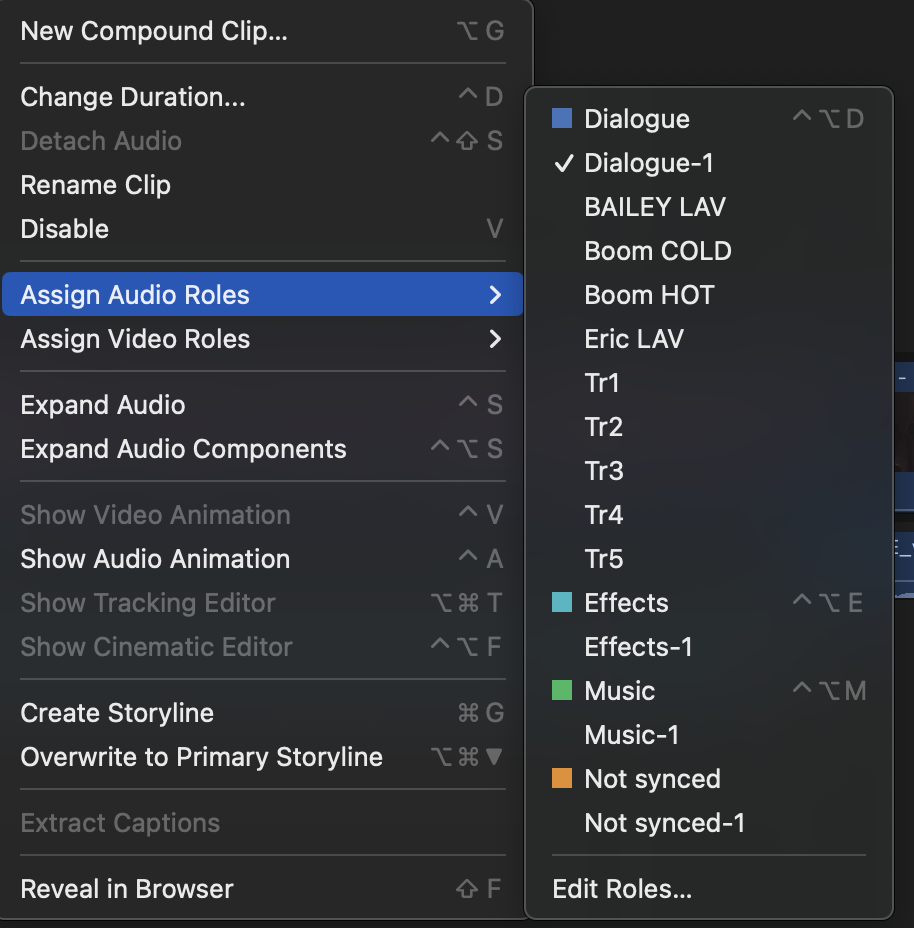 How To Export Sub Roles In Final Cut Pro 1