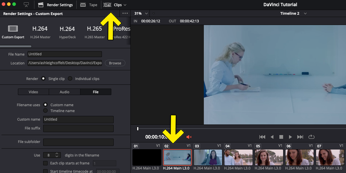 How To Export Individual Clips in DaVinci Resolve 11