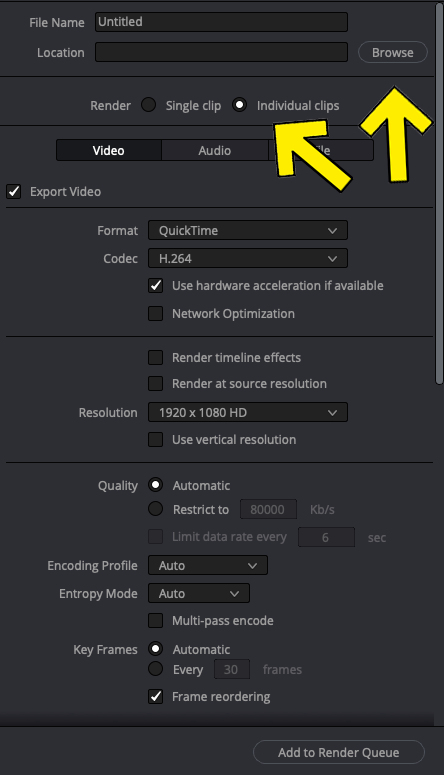How To Export Individual Clips in DaVinci Resolve 2
