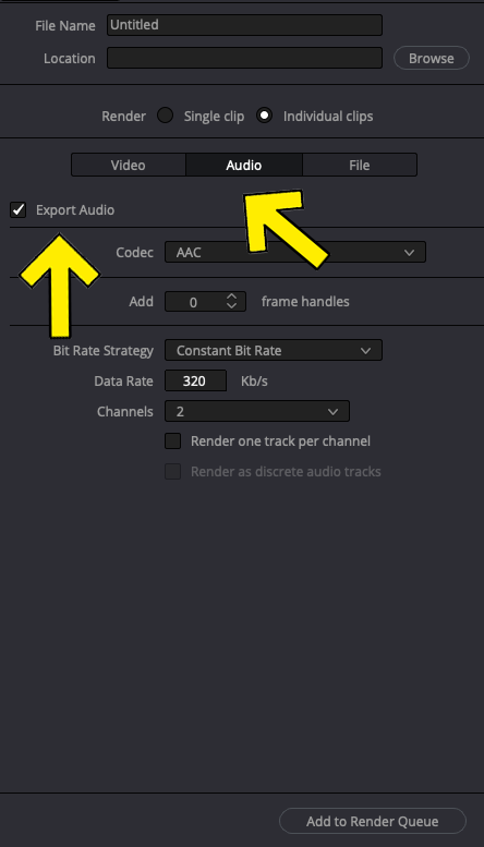 How To Export Individual Clips in DaVinci Resolve 3