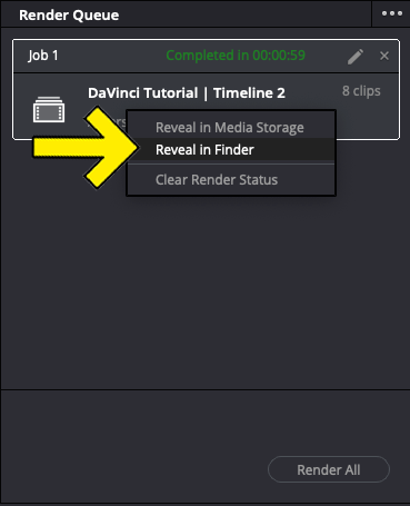 How To Export Individual Clips in DaVinci Resolve 6