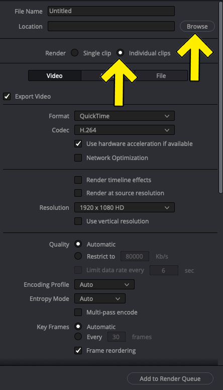 How To Export Individual Clips in DaVinci Resolve 8