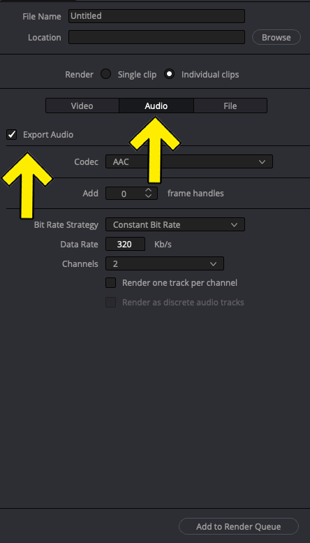 How To Export Individual Clips in DaVinci Resolve 9
