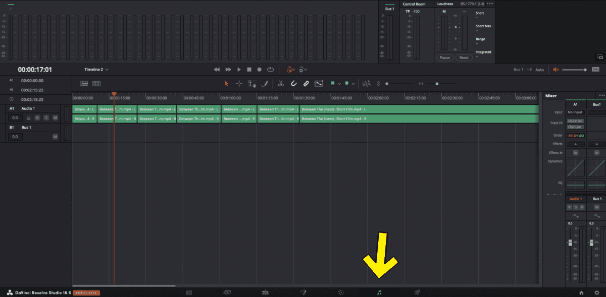 How To Export Individual Tracks in DaVinci Resolve 1