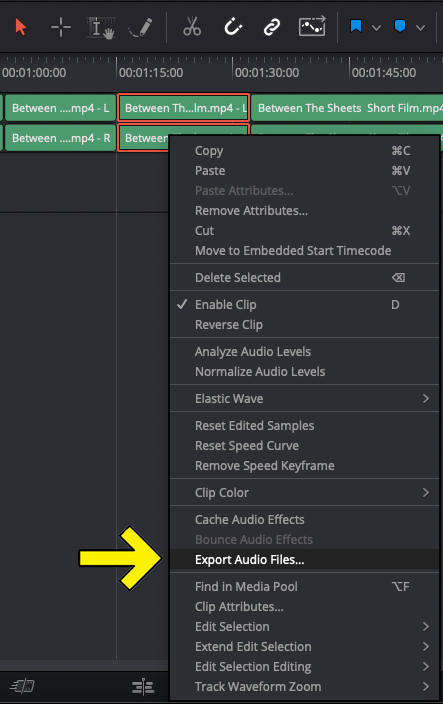 How To Export Individual Tracks in DaVinci Resolve 2