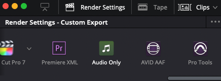 How To Export Individual Tracks in DaVinci Resolve 5