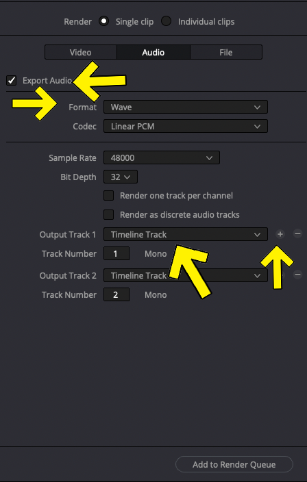 How To Export Individual Tracks in DaVinci Resolve 7