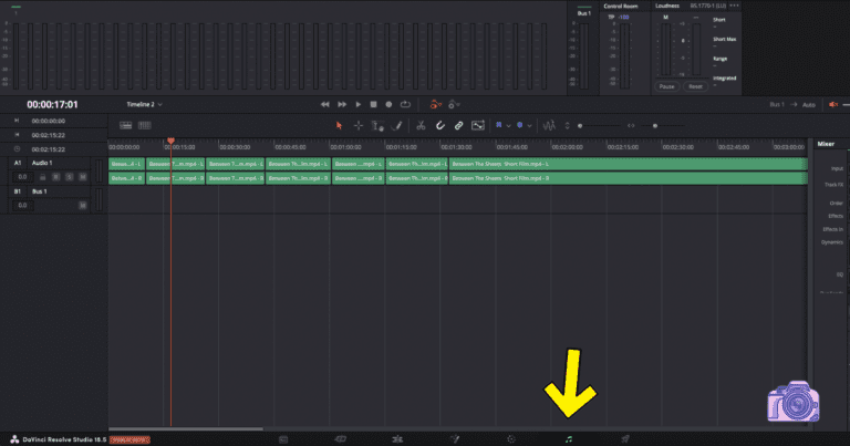 How To Export Individual Tracks in DaVinci Resolve (2 Ways)