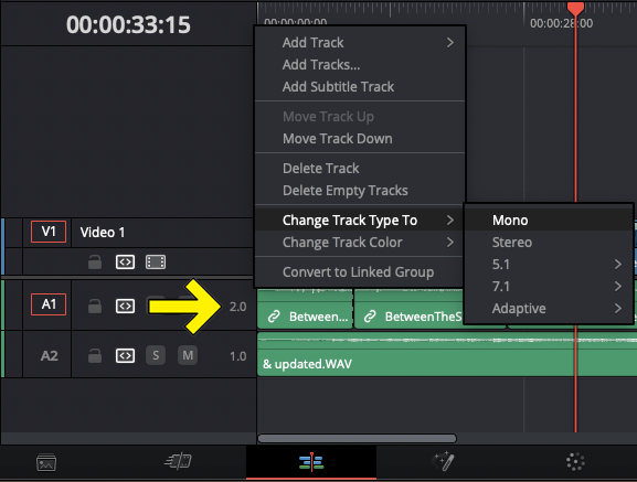 How To Export Individual Tracks in DaVinci Resolve 8