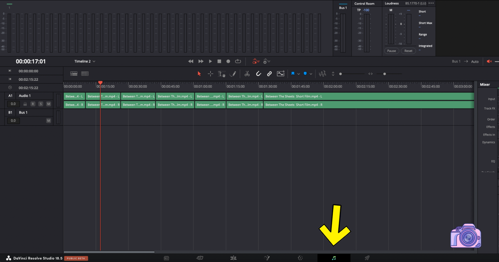 How To Export Individual Tracks in DaVinci Resolve